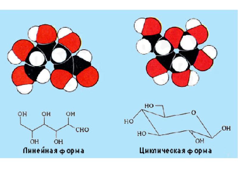 Углеводы рисунок химия