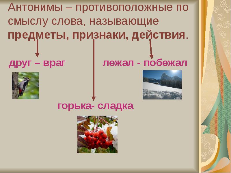 Горек сладок антонимы. Горький сладкий антонимы. Слова признаки предметов противоположные по смыслу. Сладкий антоним. Антоним к слову сладкий.