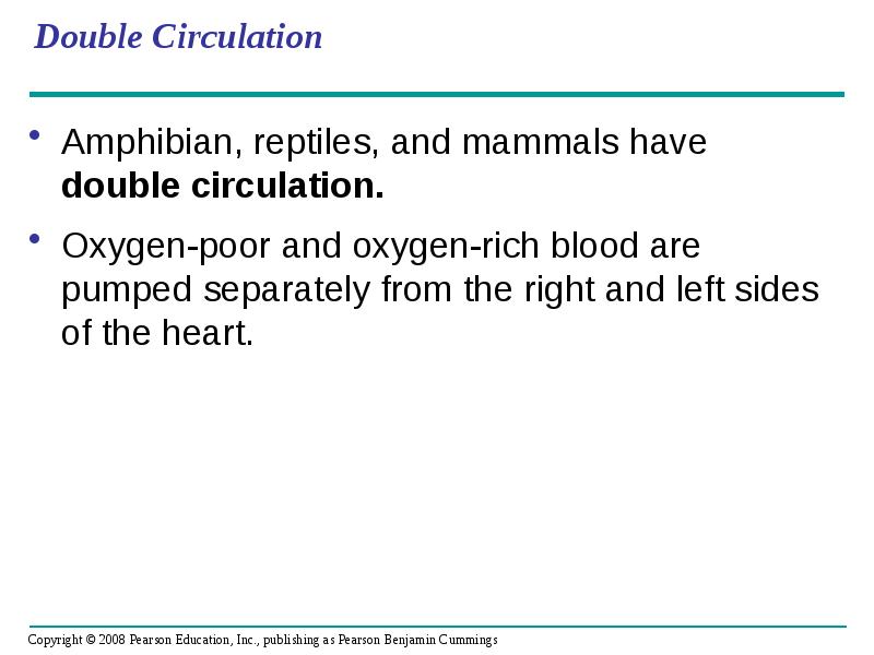 Double Circulation
Amphibian, reptiles, and mammals have double circulation.
Oxygen-poor and Double Circulation
Amphibian, reptiles, and mammals have double circulation.
Oxygen-poor and