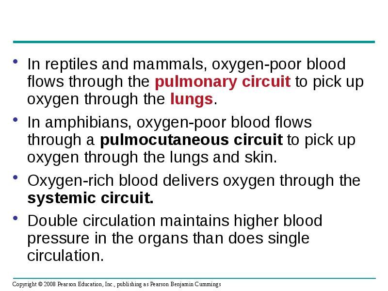 In reptiles and mammals, oxygen-poor blood flows through the pulmonary circuit In reptiles and mammals, oxygen-poor blood flows through the pulmonary circuit