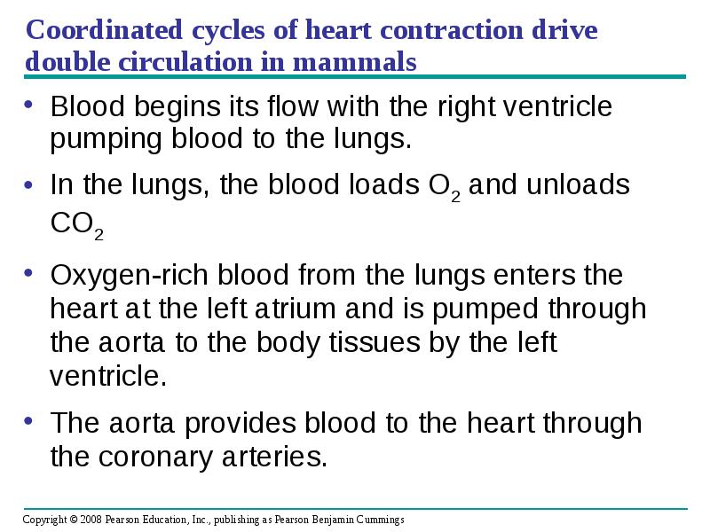 Coordinated cycles of heart contraction drive double circulation in mammals
Blood Coordinated cycles of heart contraction drive double circulation in mammals
Blood