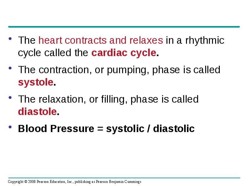 The heart contracts and relaxes in a rhythmic cycle called the The heart contracts and relaxes in a rhythmic cycle called the