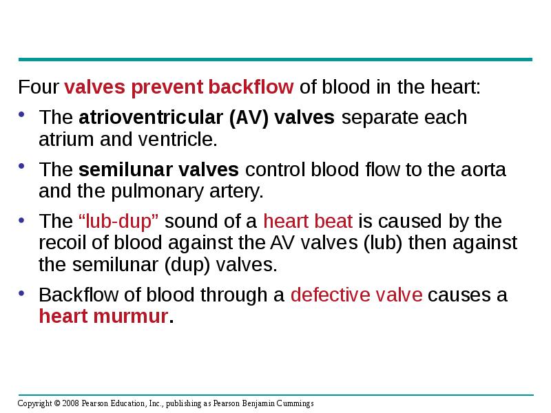 Four valves prevent backflow of blood in the heart:
Four valves Four valves prevent backflow of blood in the heart:
Four valves