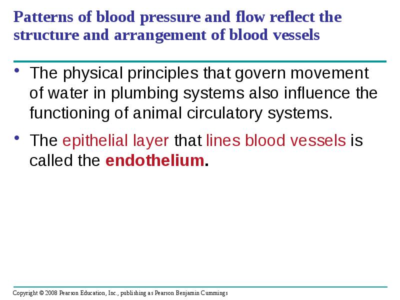 Patterns of blood pressure and flow reflect the structure and arrangement Patterns of blood pressure and flow reflect the structure and arrangement