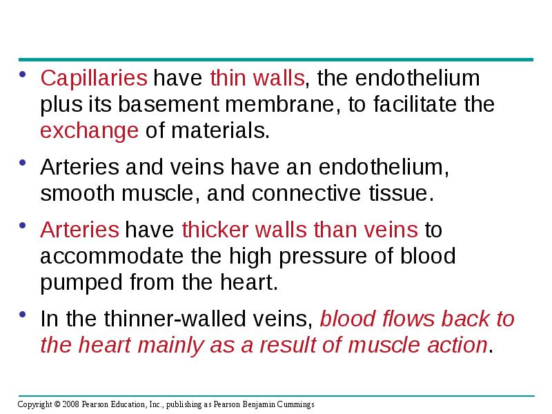 Capillaries have thin walls, the endothelium plus its basement membrane, to Capillaries have thin walls, the endothelium plus its basement membrane, to