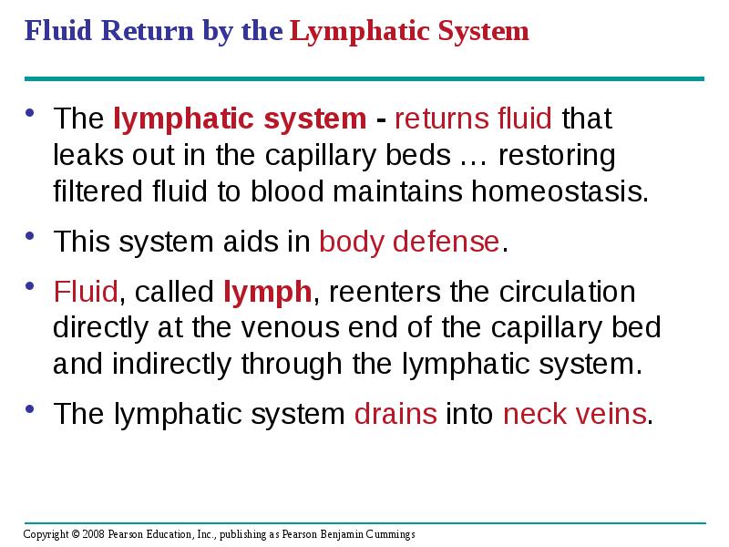 Fluid Return by the Lymphatic System
The lymphatic system - returns Fluid Return by the Lymphatic System
The lymphatic system - returns
