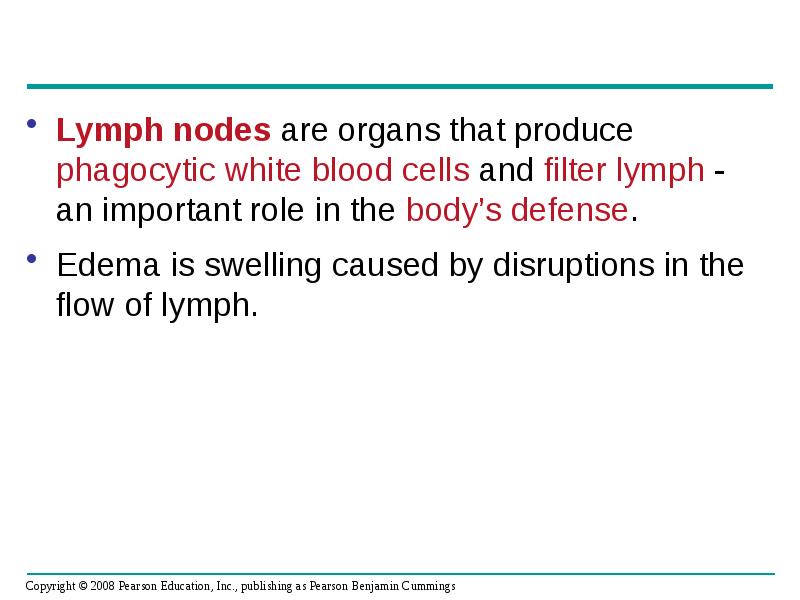 Lymph nodes are organs that produce phagocytic white blood cells and Lymph nodes are organs that produce phagocytic white blood cells and