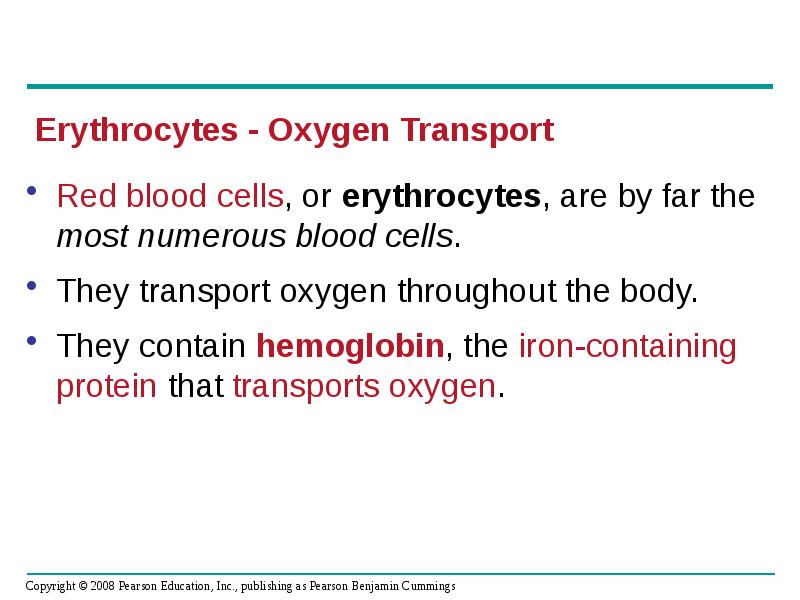 Red blood cells, or erythrocytes, are by far the most numerous Red blood cells, or erythrocytes, are by far the most numerous