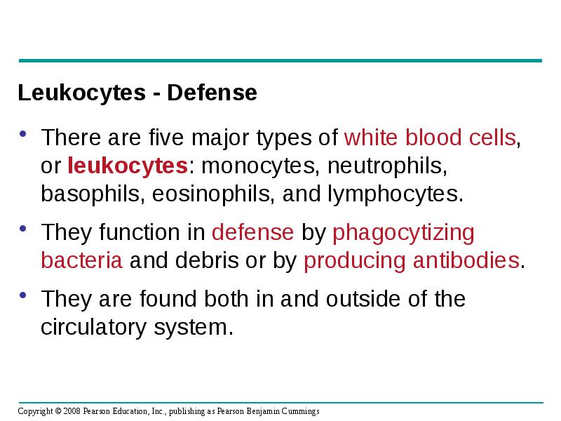 Leukocytes - Defense
There are five major types of white blood Leukocytes - Defense
There are five major types of white blood