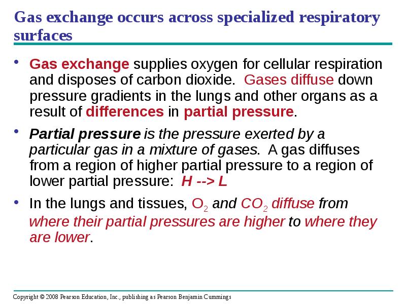 Gas exchange occurs across specialized respiratory surfaces
Gas exchange supplies oxygen Gas exchange occurs across specialized respiratory surfaces
Gas exchange supplies oxygen