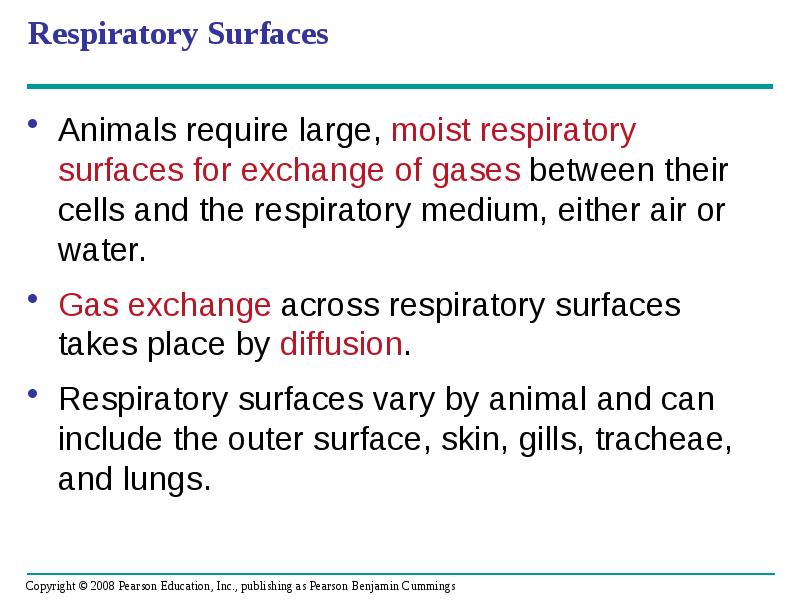 Respiratory Surfaces
Animals require large, moist respiratory surfaces for exchange of Respiratory Surfaces
Animals require large, moist respiratory surfaces for exchange of