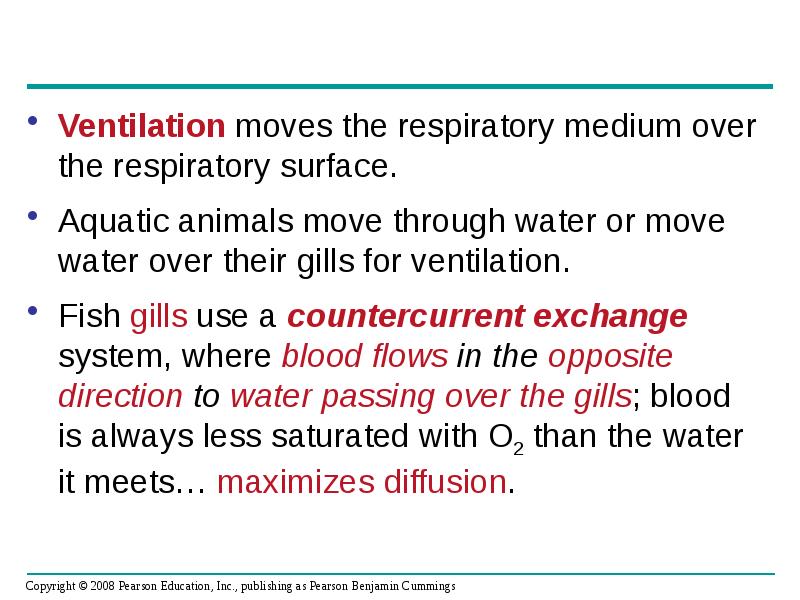 Ventilation moves the respiratory medium over the respiratory surface.
Ventilation moves Ventilation moves the respiratory medium over the respiratory surface.
Ventilation moves
