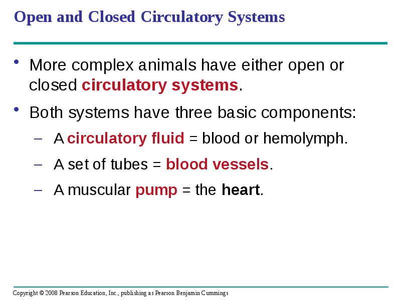 Open and Closed Circulatory Systems
More complex animals have either open Open and Closed Circulatory Systems
More complex animals have either open