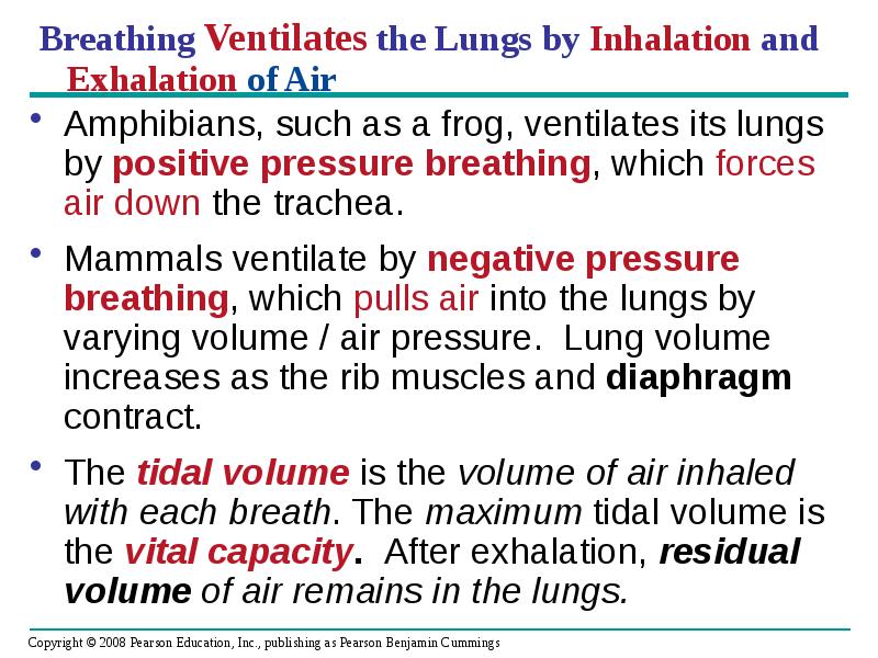 Breathing Ventilates the Lungs by Inhalation and Exhalation of Breathing Ventilates the Lungs by Inhalation and Exhalation of