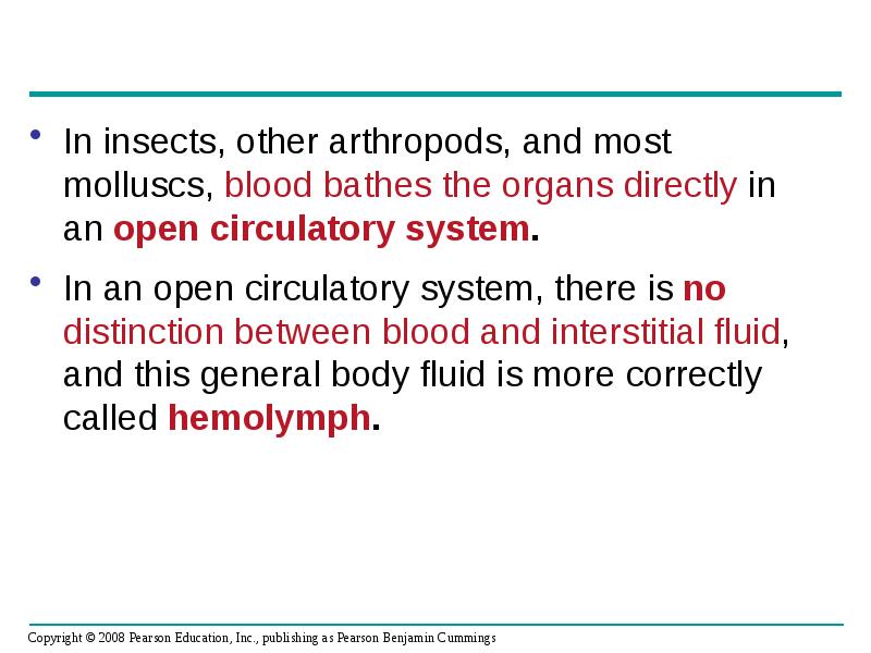In insects, other arthropods, and most molluscs, blood bathes the organs In insects, other arthropods, and most molluscs, blood bathes the organs
