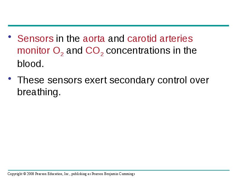 Sensors in the aorta and carotid arteries monitor O2 and CO2 Sensors in the aorta and carotid arteries monitor O2 and CO2
