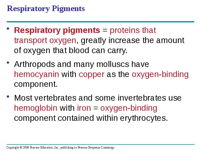 Respiratory Pigments
Respiratory pigments = proteins that transport oxygen, greatly increase Respiratory Pigments
Respiratory pigments = proteins that transport oxygen, greatly increase
