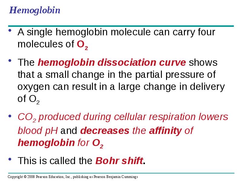 Hemoglobin
A single hemoglobin molecule can carry four molecules of O2
Hemoglobin
A single hemoglobin molecule can carry four molecules of O2