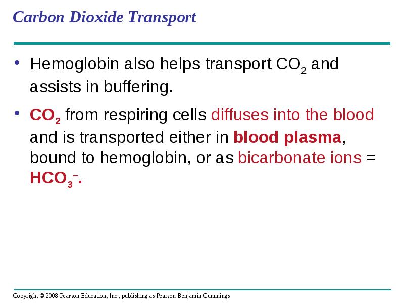 Carbon Dioxide Transport
Hemoglobin also helps transport CO2 and assists in Carbon Dioxide Transport
Hemoglobin also helps transport CO2 and assists in