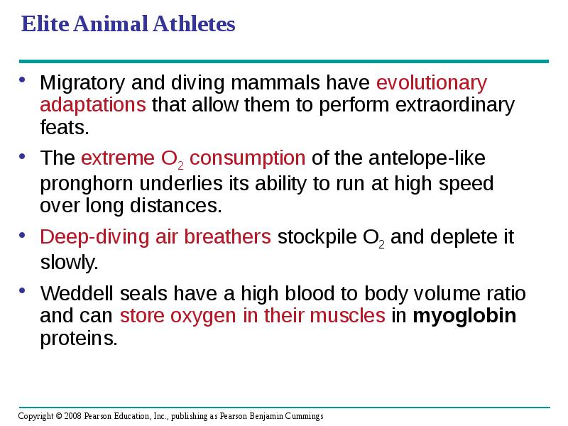 Elite Animal Athletes
Migratory and diving mammals have evolutionary adaptations that Elite Animal Athletes
Migratory and diving mammals have evolutionary adaptations that