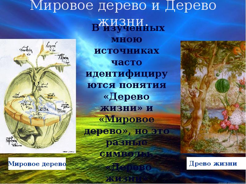 Мировое дерево и Дерево жизни.   В изученных мною источниках