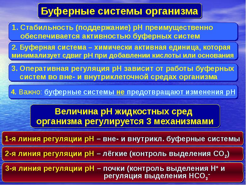 Перечислите наиболее важные. Буферные системы организма. Биологические буферные системы. Механизм буферных систем организма. Роль буферных систем в организме человека.