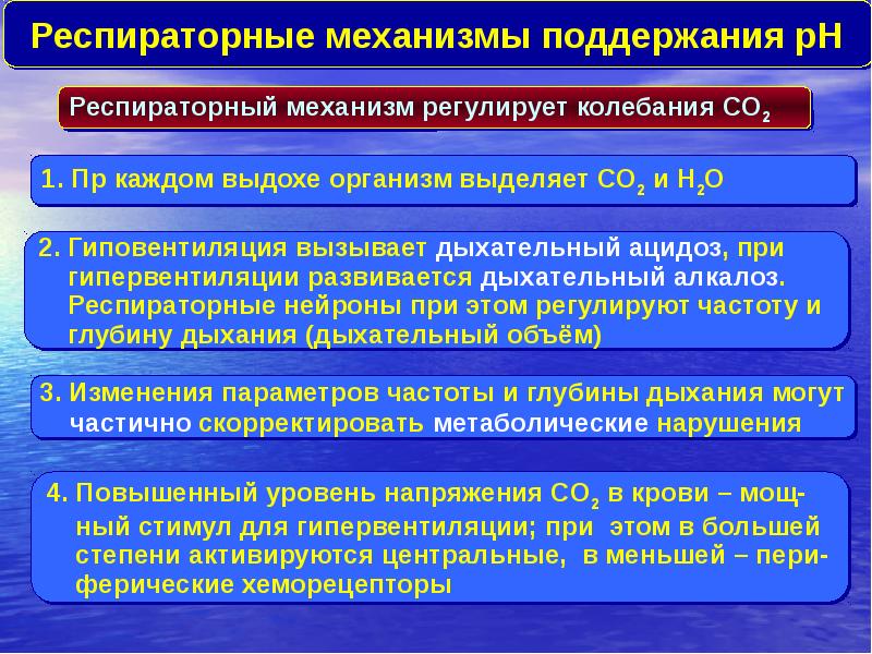 Механизмы поддержания. Респираторный механизм. Первичный респираторный механизм. Механизмы поддержания изоляции. Механизм поддержания доходов это.