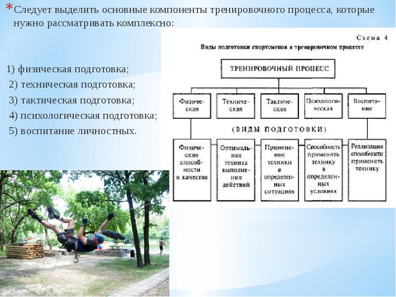 Виды тренировочного процесса. Компоненты тренировочного процесса. Составляющие тренировочного процесса. Психологическая характеристика физических качеств. Общая схема тренировочного процесса.