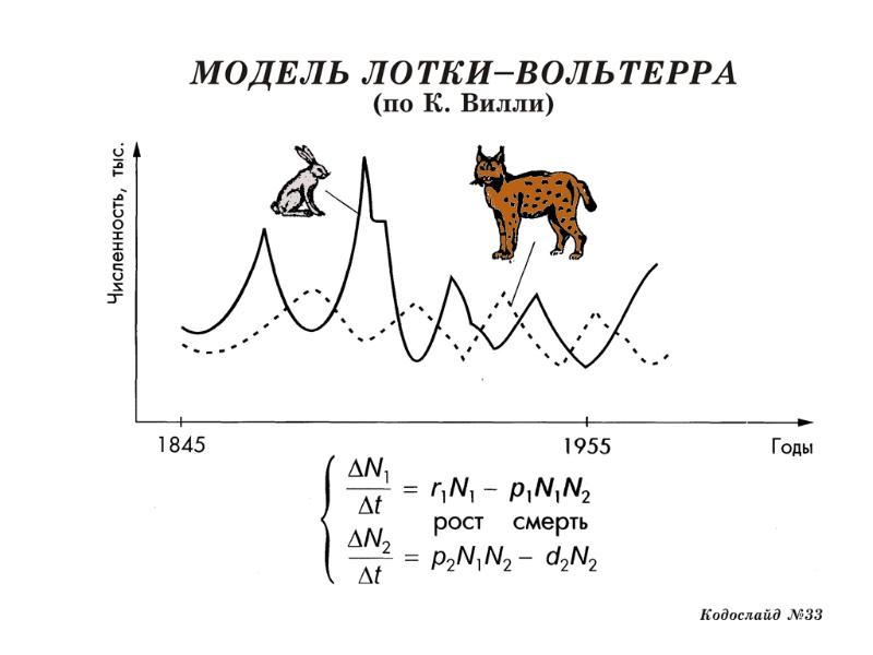 Популяционные волны схема