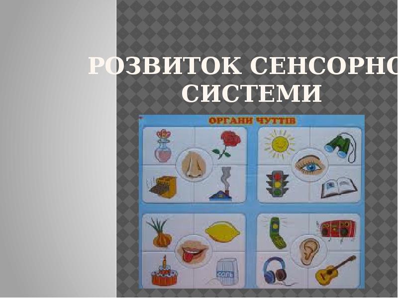 РОЗВИТОК СЕНСОРНОЇ СИСТЕМИ