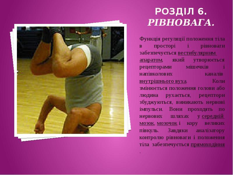 РОЗДІЛ 6. Рівновага.  Функція регуляції положення тіла в просторі і