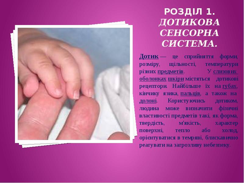 РОЗДІЛ 1. Дотикова сенсорна система.  Дотик&nbsp;— це сприйняття форми, розміру,