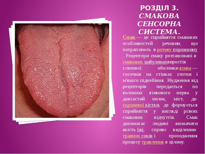 РОЗДІЛ 3. Смакова сенсорна система.  Смак&nbsp;— це сприйняття смакових особливостей