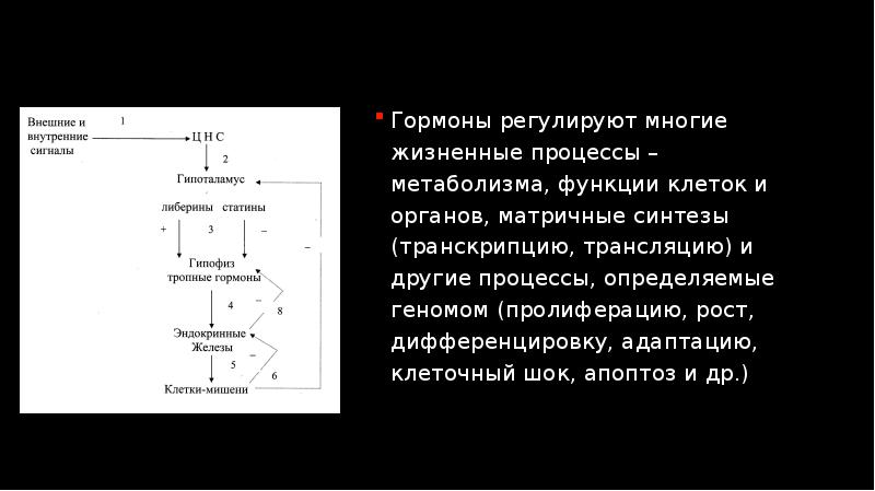 Гормоны презентация по биохимии