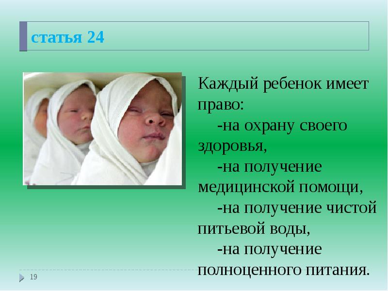статья 24
