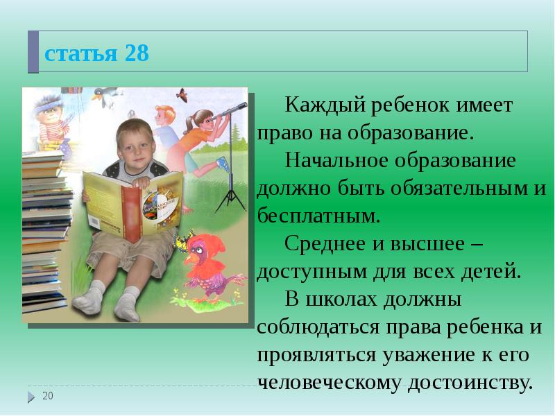 статья 28