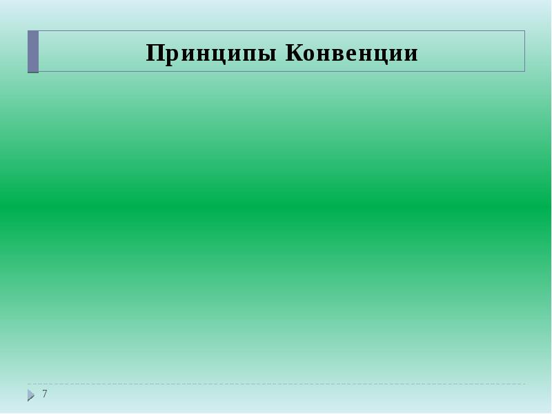Принципы Конвенции