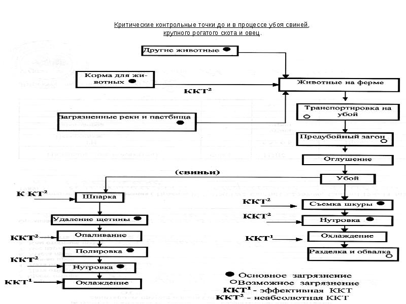 Схема переработки мелкого рогатого скота