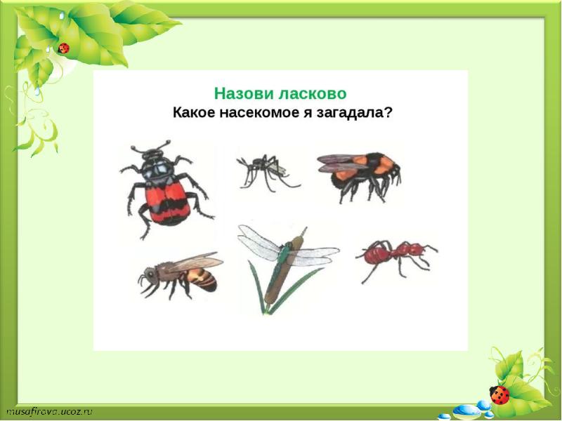 Лексическая тема насекомые старшая группа презентация