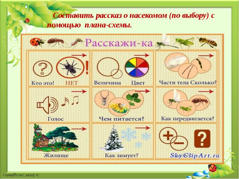 Презентация лексическая тема насекомые