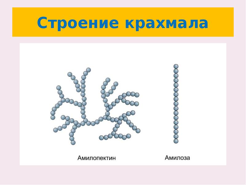 Строение крахмала