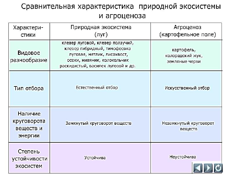 B сравните эти экосистемы по плану