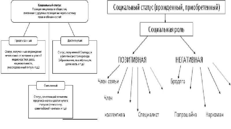 Заполните схему социальный статус