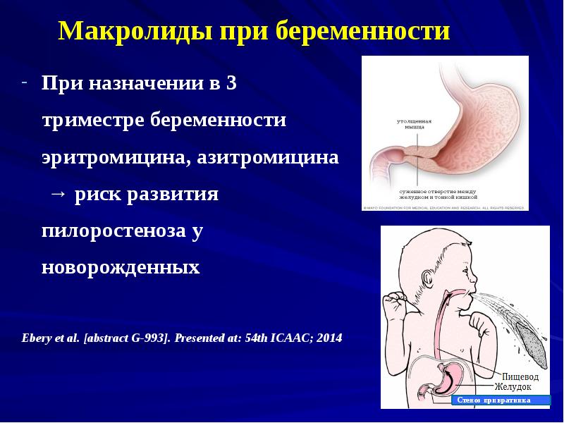 Презентация беременность и роды биология 9 класс. Беременность презентация.