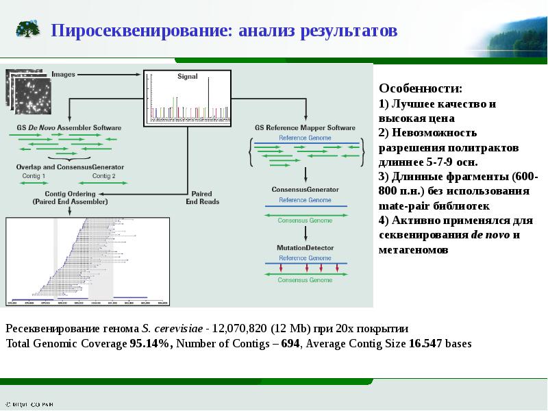 Секвенирование нового поколения. NGS секвенирование. Секвенирование нового поколения NGS. Этапы пиросеквенирования. Секвенирование 2 поколения.