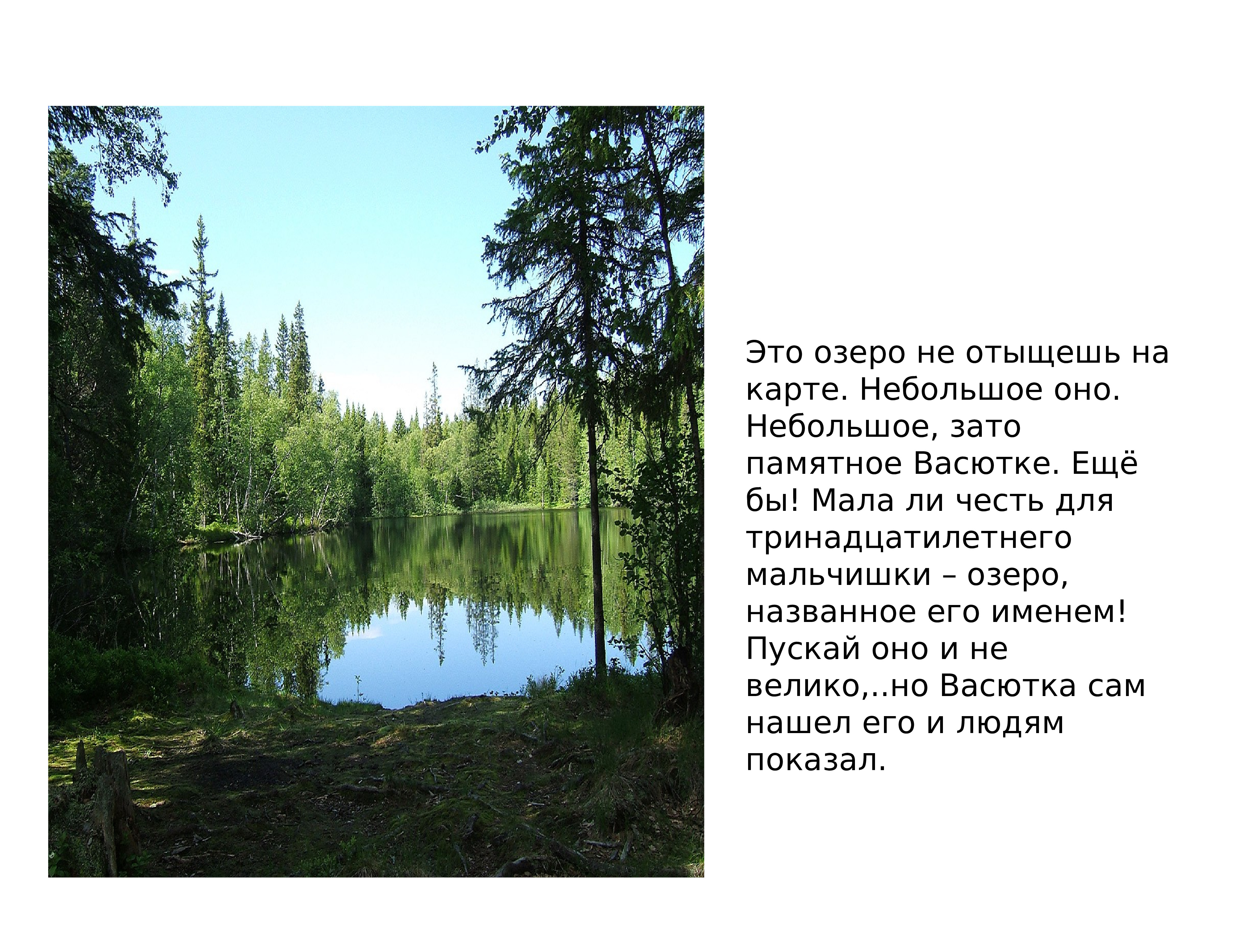 Васюткино озеро реальное озеро. Низовья Енисея Васюткино озеро. Васюткино озеро Астафьев Тайга. Васюткино озеро Красноярский край. Васюткино озеро озеро карта.