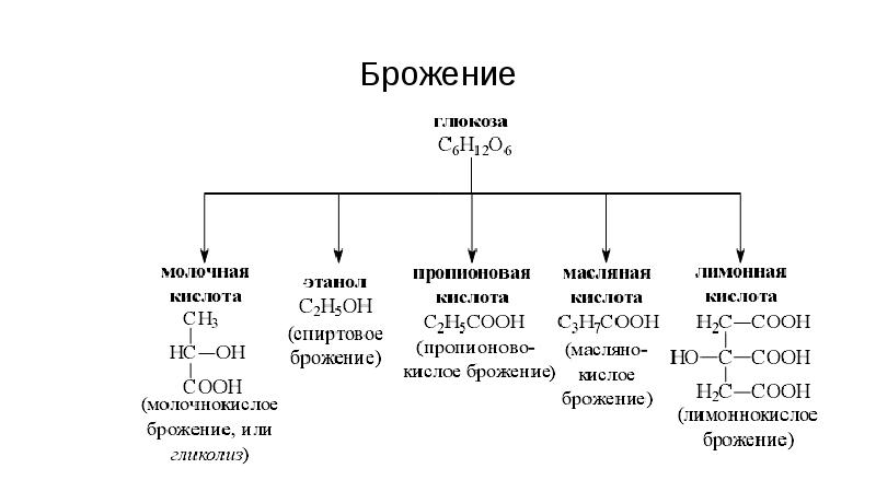 Процесс разложения глюкозы. Типы брожения Глюкозы. Процесс брожения схема. Типы брожения микробиология таблица. Конечные продукты брожения углеводов.