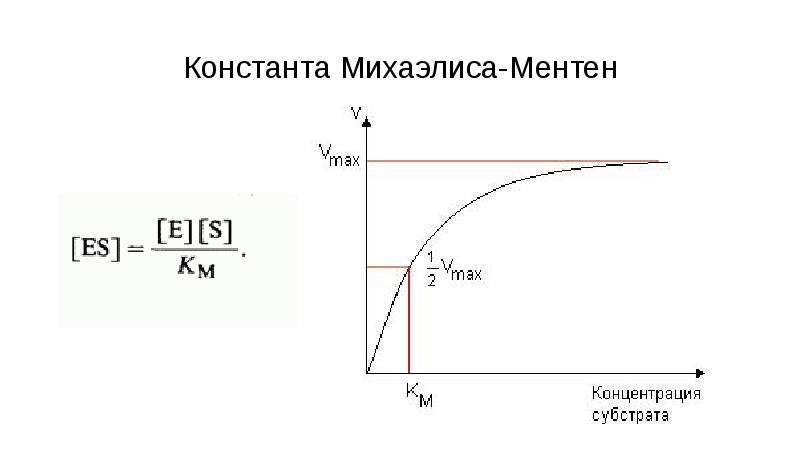 Схема михаэлиса ментен