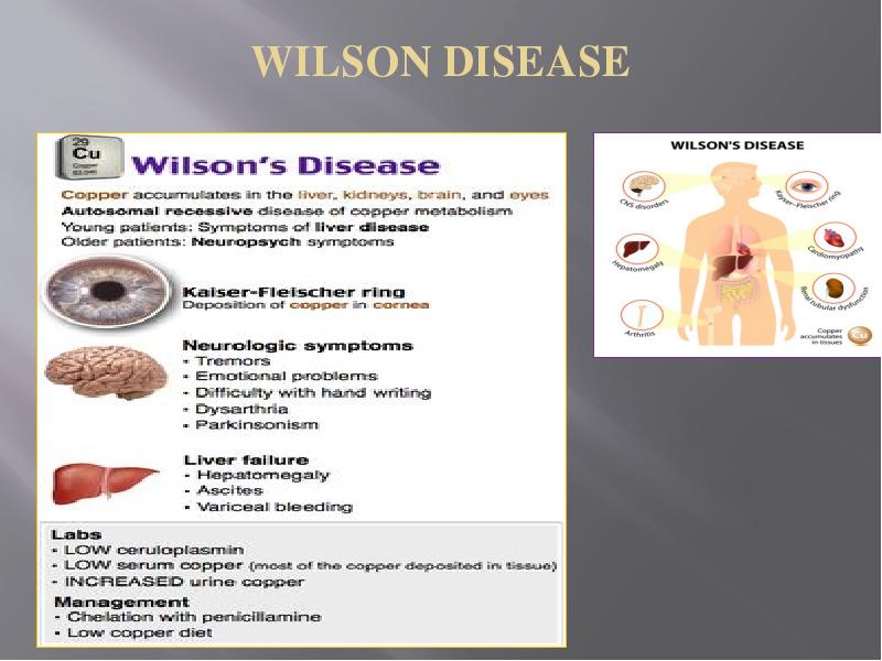 Болезнь вильсона коновалова презентация