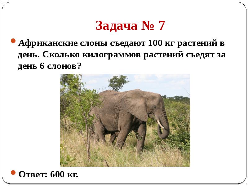 Съедает количество. Задачи слоны. Задачи про слонов. Задача слон. Слоновая задача.